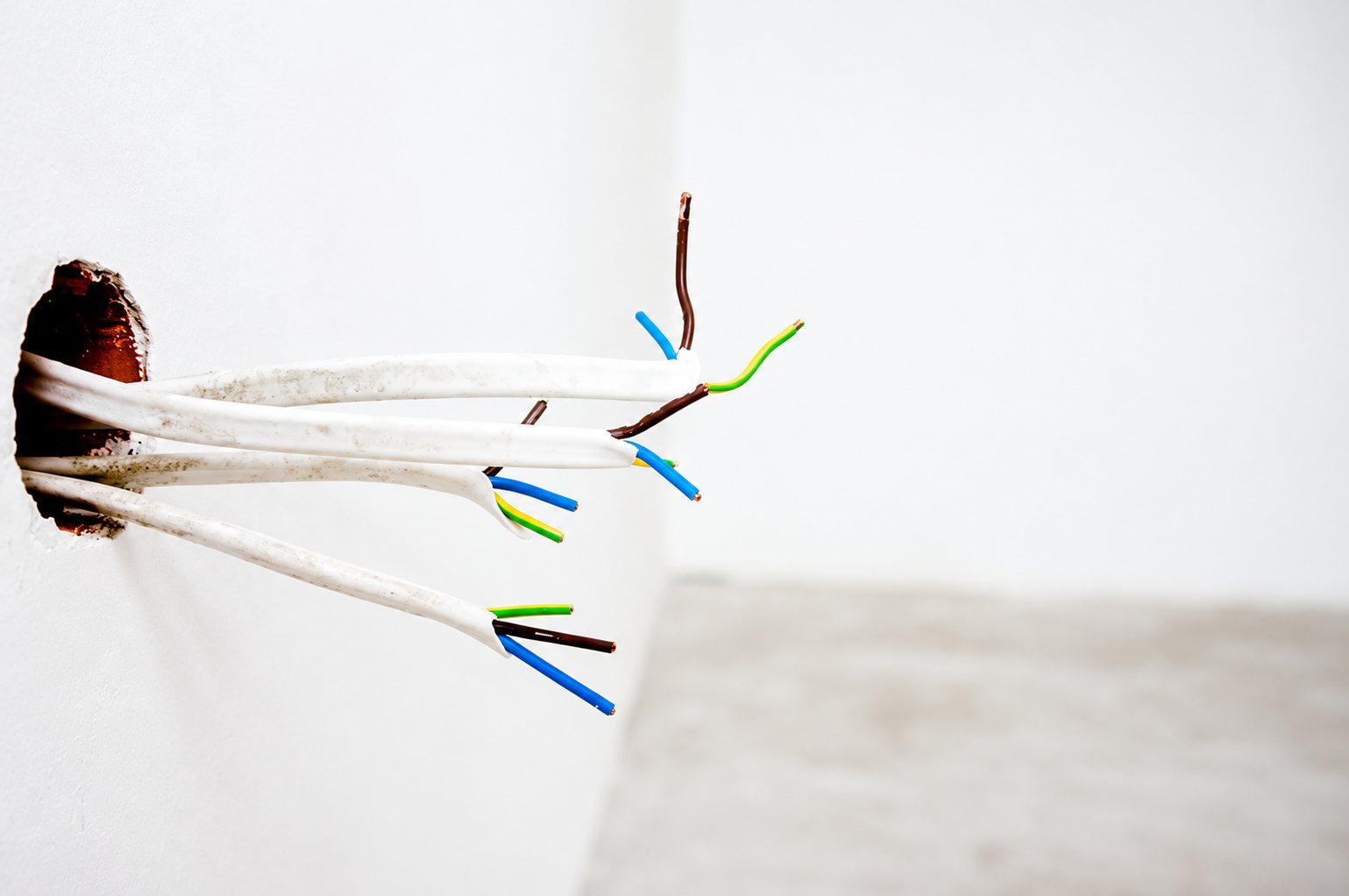 Plusieurs câbles électriques blancs aux fils bleus, marron et vert-jaune sortent d'un trou percé dans un mur blanc.